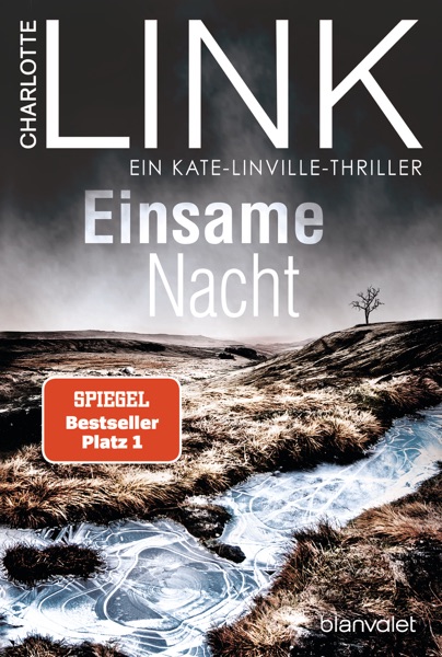 Cover Einsame Nacht