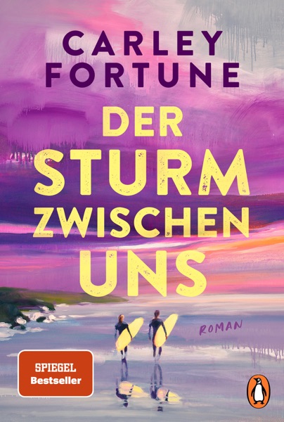 Cover Der Sturm zwischen uns