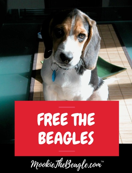 Cover MOOKIETHEBEAGLE.COM FREE THE BEAGLES