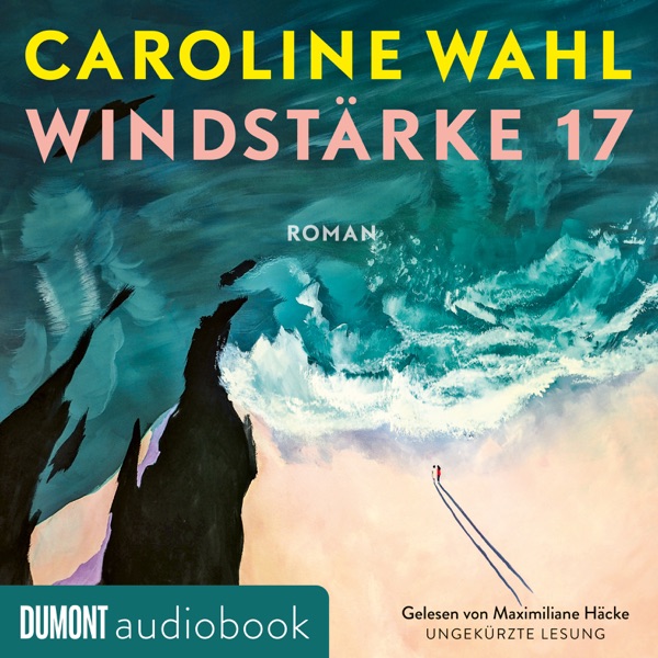 Cover Windstärke 17
