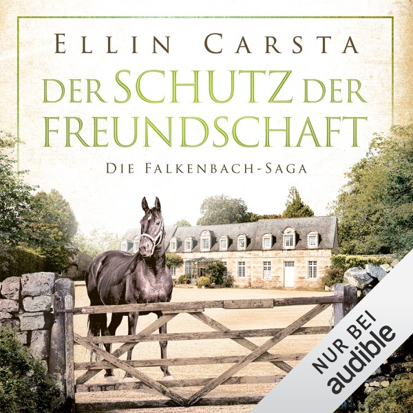 Cover Der Schutz der Freundschaft: Die Falkenbach-Saga - Band 11