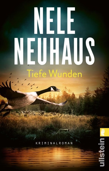Cover Tiefe Wunden