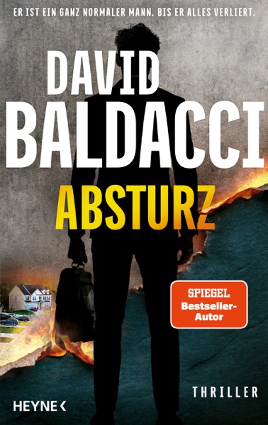 Cover Absturz